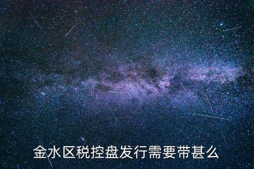 發(fā)行金稅盤需要帶什么資料，要去國稅發(fā)行購買完金稅盤和報(bào)稅盤需要帶哪些材料