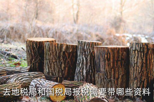 地稅局交稅需要什么，去地稅局繳納營業(yè)稅金及附加需要帶什么資料