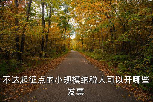 小規(guī)模納稅人能使用什么發(fā)票，建筑類小規(guī)模納稅人購買什么發(fā)票