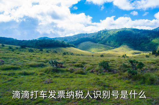 滴滴打車發(fā)票納稅人識(shí)別號是什么