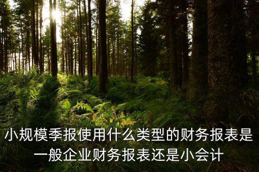 小規(guī)模季報使用什么類型的財(cái)務(wù)報表是一般企業(yè)財(cái)務(wù)報表還是小會計(jì)