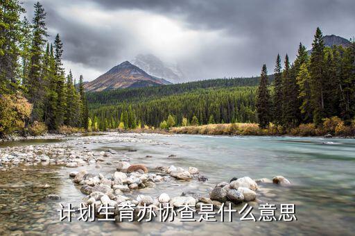 協(xié)查要素是指什么，什么是協(xié)查令