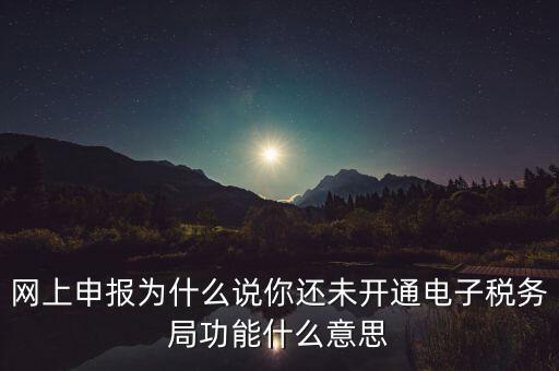 電子稅務(wù)局是干什么，企業(yè)金稅盤系統(tǒng)用來開票抄稅報稅用那登錄國稅地稅局網(wǎng)站是干嘛的