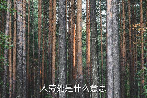 勞務(wù)處是什么意思，人勞處是什么意思