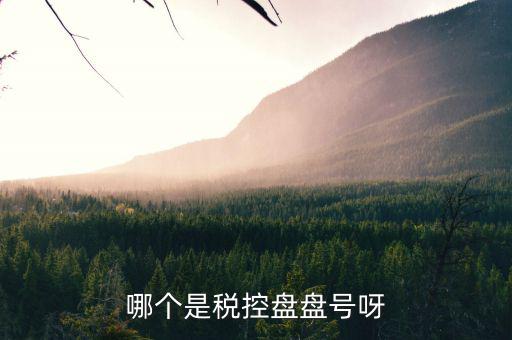 稅控盤號(hào)是什么，什么叫稅控盤號(hào)