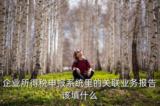 什么情況寫關(guān)聯(lián)申報，企業(yè)所得稅申報系統(tǒng)里的關(guān)聯(lián)業(yè)務(wù)報告該填什么