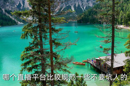 什么直播平臺(tái)扣稅最少，陌陌主播官方代繳稅收嗎