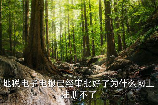 河地稅網(wǎng)上辦稅為什么注冊不了，地稅網(wǎng)上打印報表提示沒有注冊要怎么注冊呢