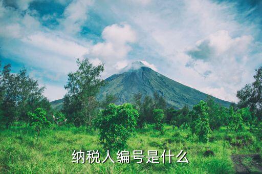人稅務編號是什么，納稅人編號是什么