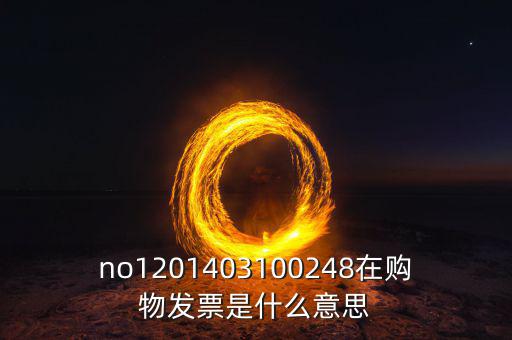 湖南發(fā)票號碼是什么意思，發(fā)票參考號是什么意思