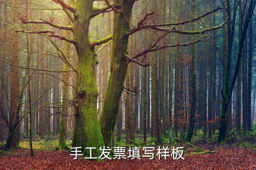 手寫發(fā)票是什么樣子，手工發(fā)票填寫樣板