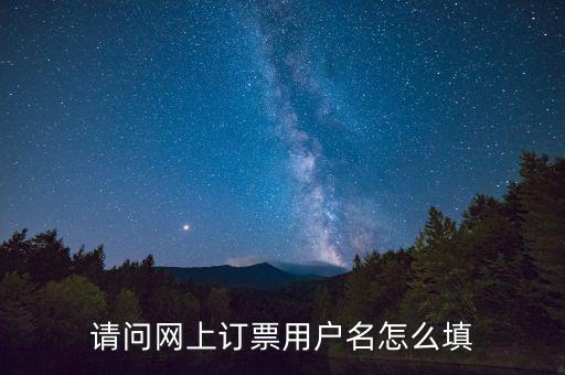 請問網上訂票用戶名怎么填