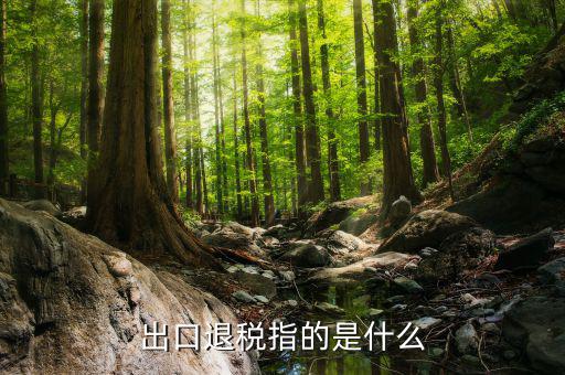 出口退稅返納是什么意思，出口退稅指的是什么