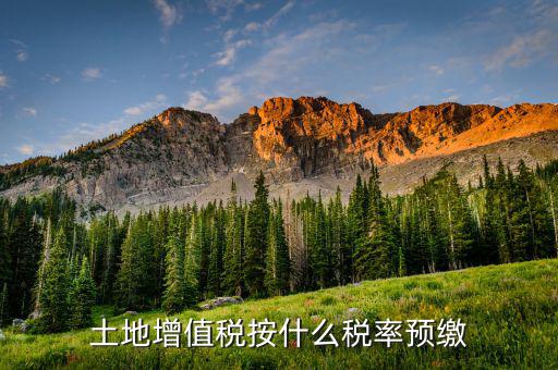 山東省土地增值稅按什么預(yù)繳，山東文登市土地增值稅預(yù)繳稅率是多少