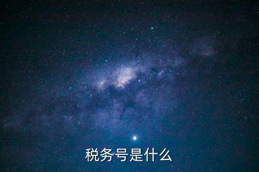 什么是稅務(wù)登記號(hào)，稅務(wù)號(hào)是什么