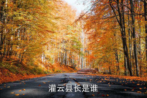 灌云國稅局局長叫什么，國家稅務(wù)局局長叫什么