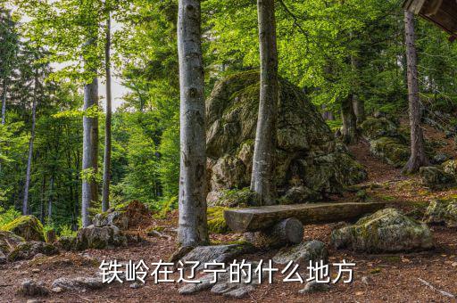 鐵嶺市什么省，鐵嶺在遼寧的什么地方