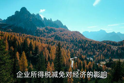 減稅免稅有什么弊端，減稅對(duì)個(gè)人和企業(yè)的不利影響