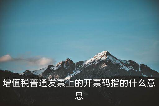 稅控盤開票碼是什么，增值稅普通發(fā)票上的開票碼指的什么意思