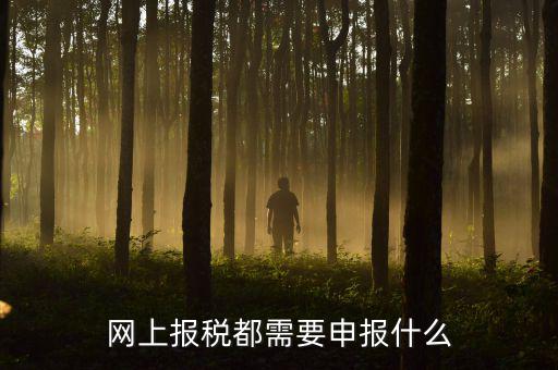 網上報稅都需要申報什么