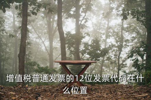 12位發(fā)票代碼是什么，增值稅普通發(fā)票的12位發(fā)票代碼在什么位置