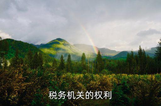 稅務(wù)機(jī)關(guān)的權(quán)利有什么，稅務(wù)機(jī)關(guān)的權(quán)利