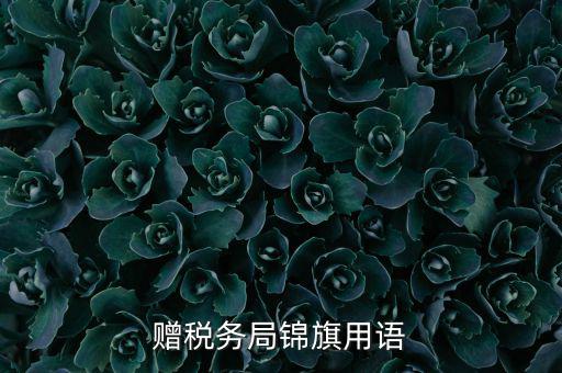 贈(zèng)送稅務(wù)所錦旗寫(xiě)什么，贈(zèng)稅務(wù)局錦旗用語(yǔ)