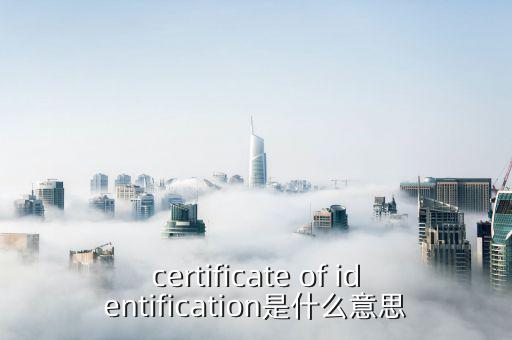 納稅人證書是什么意思，具有納稅人資格是什么意思