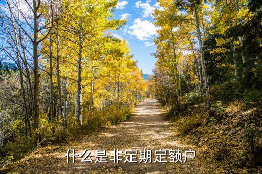 非定期定額戶是什么意思，請問雙定調整受理文書這是什么意思