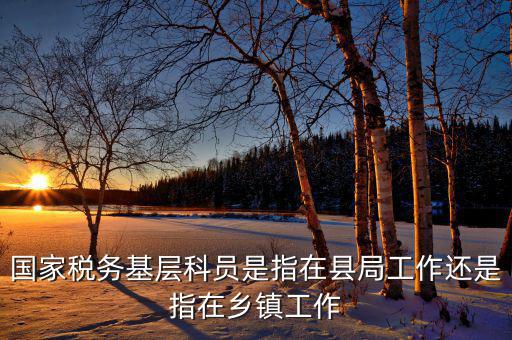 稅務(wù)系統(tǒng)的基層指什么，國家稅務(wù)基層科員是指在縣局工作還是指在鄉(xiāng)鎮(zhèn)工作