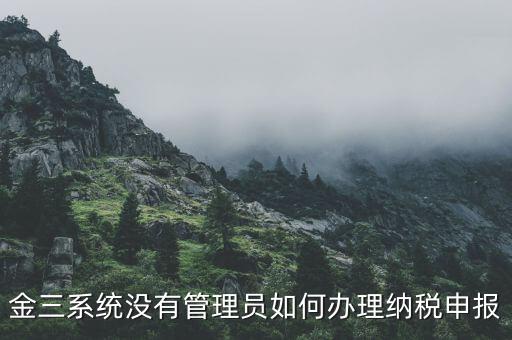 金三申報(bào)申報(bào)什么意思，申報(bào)是什么意思