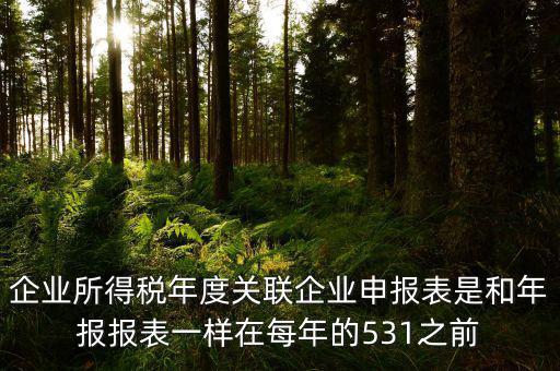 企業(yè)所得稅年度關聯(lián)企業(yè)申報表是和年報報表一樣在每年的531之前