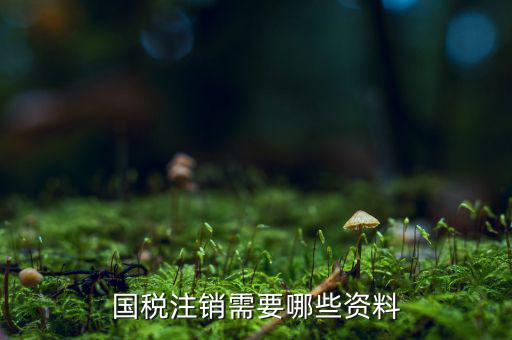 稅務(wù)注銷需要什么資料，請(qǐng)問注銷稅務(wù)登記證需要什么資料