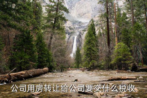 公司轉(zhuǎn)讓房產(chǎn)交什么稅，公司名下的房子出售要交哪些稅