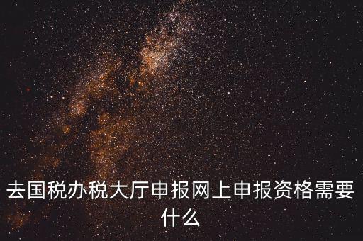 國(guó)稅網(wǎng)上申報(bào)用什么，去國(guó)稅辦稅大廳申報(bào)網(wǎng)上申報(bào)資格需要什么
