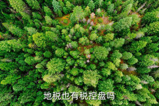 地稅的盤是什么，上海稅務(wù)局手工申報要交的盤里面是什么內(nèi)容