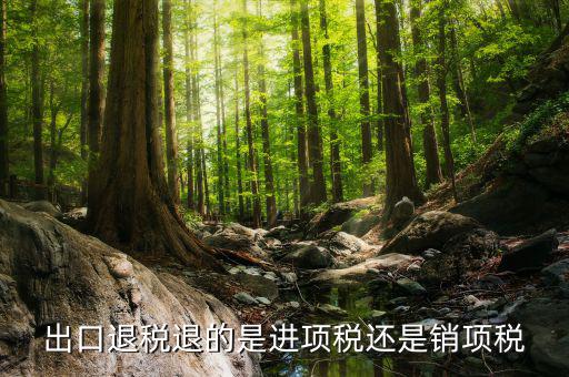 出口退稅退的是什么稅，出口退稅退的是進項稅還是銷項稅