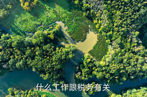 稅務代理工作是指什么，什么是稅務代收