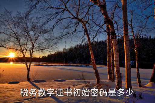 金稅盤ca密碼是什么，稅務(wù)密鑰是什么東西是數(shù)字證書嗎