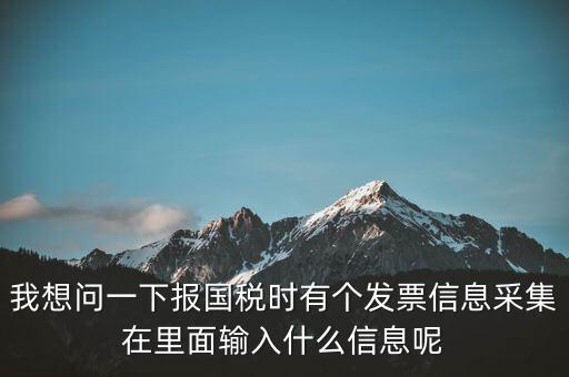 我想問一下報(bào)國(guó)稅時(shí)有個(gè)發(fā)票信息采集在里面輸入什么信息呢