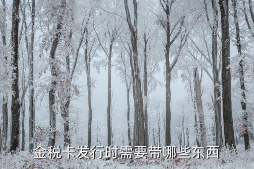 金稅盤發(fā)行帶什么，金稅卡發(fā)行時(shí)需要帶哪些東西
