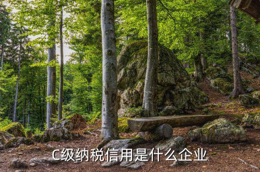 稅務(wù)等級(jí)c級(jí)是什么意思，申請(qǐng)一般納稅人abc類是什么意思