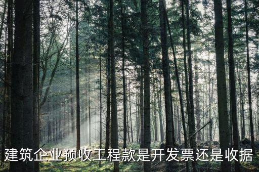 建筑企業(yè)預收工程款是開發(fā)票還是收據