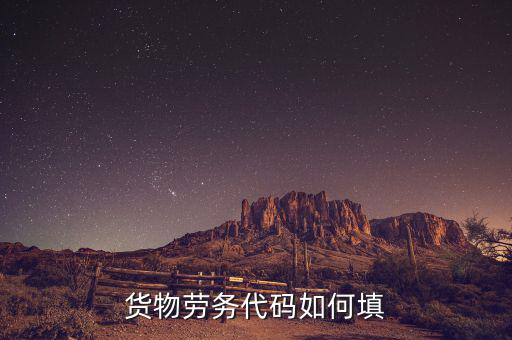 貨物勞務(wù)代碼是什么，貨物勞務(wù)代碼如何填