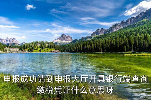 銀行端查詢繳稅憑證蓋什么章，銀行端查詢繳款憑證工會(huì)蓋什么章