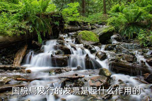 國家稅務(wù)局發(fā)票有什么用，發(fā)票有哪些作用呢