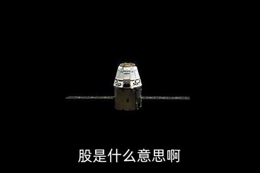 人教股什么意思，股是什么意思啊