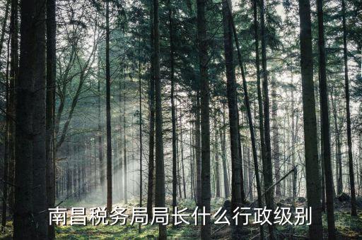 稅務(wù)局局長(zhǎng)是什么級(jí)別，金河鎮(zhèn)稅務(wù)務(wù)局局長(zhǎng)是什么級(jí)別