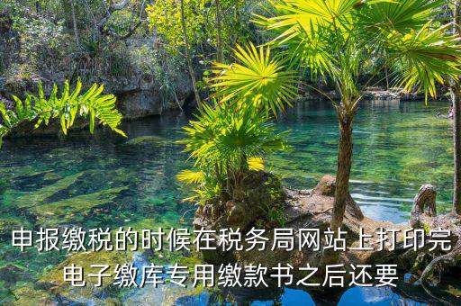 申報(bào)繳稅的時(shí)候在稅務(wù)局網(wǎng)站上打印完電子繳庫(kù)專用繳款書(shū)之后還要