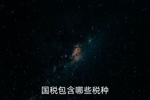 國稅發(fā)票有什么項目，國稅通用手工發(fā)票可以開什么項目經(jīng)營范圍是道路普通貨物運輸